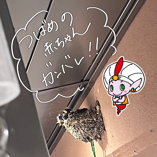 府中市からのお客様　iPhoneXS　画面割れ修理